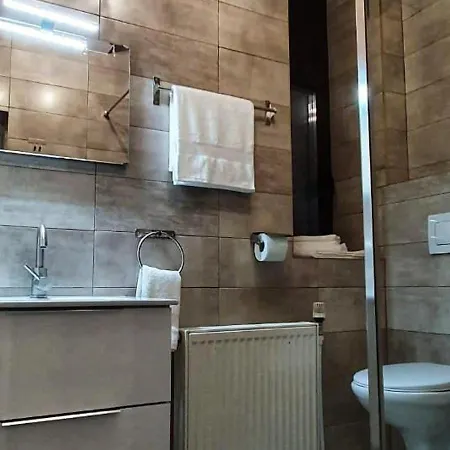 Casa Domneasca Rarau 3*